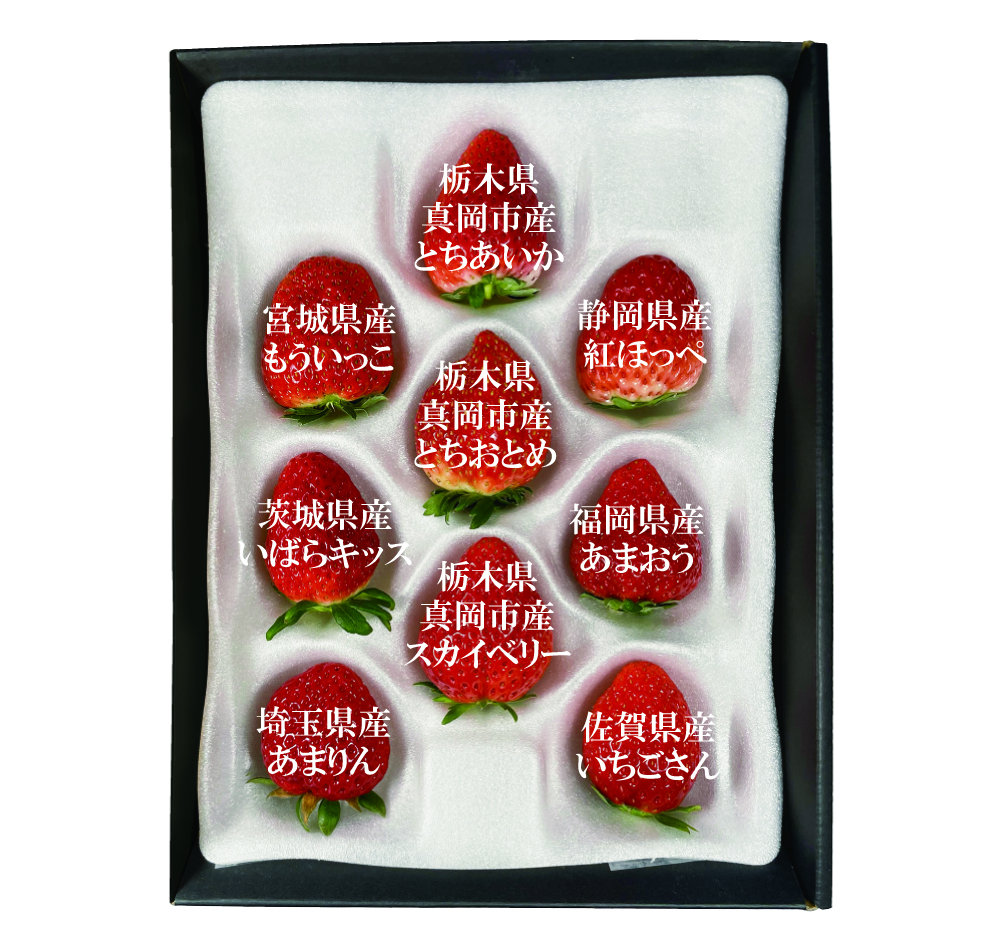 全国ブランドいちご食べ比べパック | ストロベリーワールド in 真岡